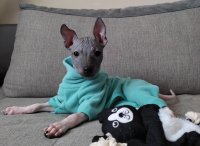 Winter is coming…