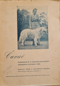 Záchranca alebo záchrancovia slovenského čuvača?