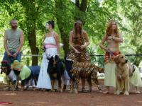 CARNIVAL online DOG PARTY