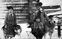 Historie plemene aljašský malamut: silné srdce severu