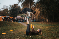 Vzdušné skoky a psí radost: To je svět dogfrisbee
