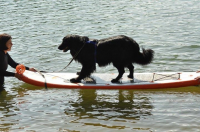 Fitness na vodě aneb Paddle boarding pro každého! 