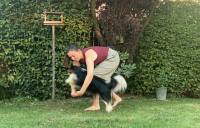 Psí triky a jak na ně – 13. díl