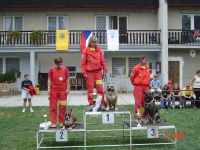 Jaký skutečně je americký stafordšírský teriér?