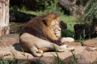 Výlet do zoo aneb Den, kdy jsem našla příbuzné