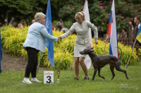Z poradny ČMKU – 16. díl