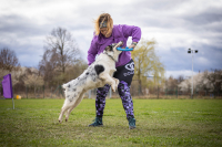 Mistrovství světa v Dog Pulleru letos v ČR!