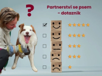 Pět nejdůležitějších věcí, ve kterých člověk v soužití se psem extrémně selhává – 37. díl