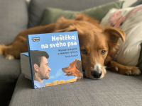 Preferuji moderní metody tréninku a pozitivní přístup!