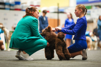 Workshop junior handlingu je za námi!