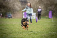 Mistrovství světa v Dog Pulleru letos v ČR!
