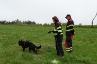 Mantrailing v kostce – 1. díl