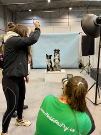 Milovníci zvířat, zbystřete! Nějvětší chovatelský veletrh FOR PETS už po Velikonocích! 