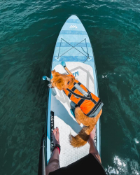 Fitness na vodě aneb Paddle boarding pro každého! 