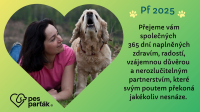 Pět nejdůležitějších věcí, ve kterých člověk v soužití se psem extrémně selhává – 37. díl