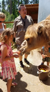 Půjdem spolu do Betléma? Ne, ne, ale do zoo!